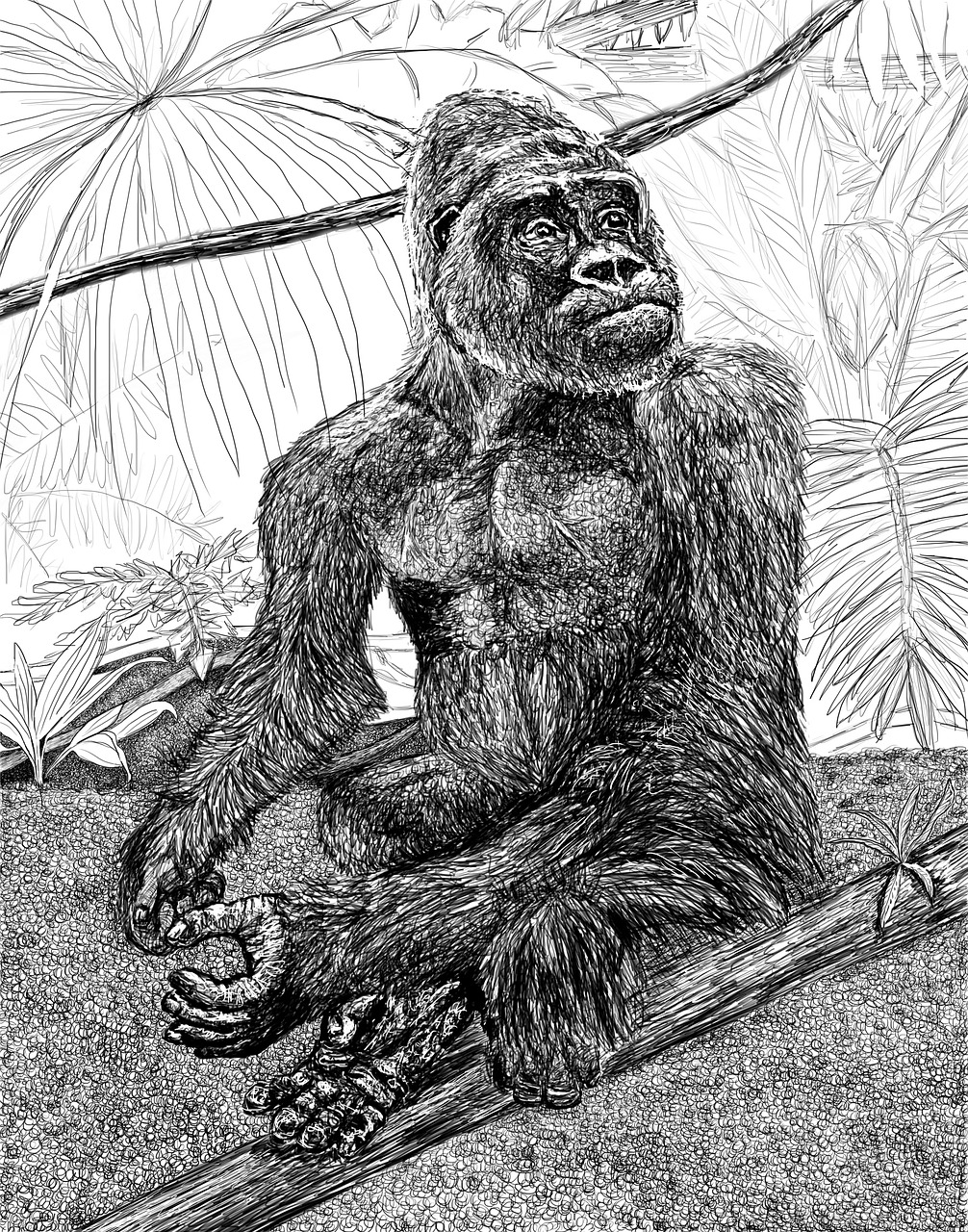 art portrait gorilla free photo
