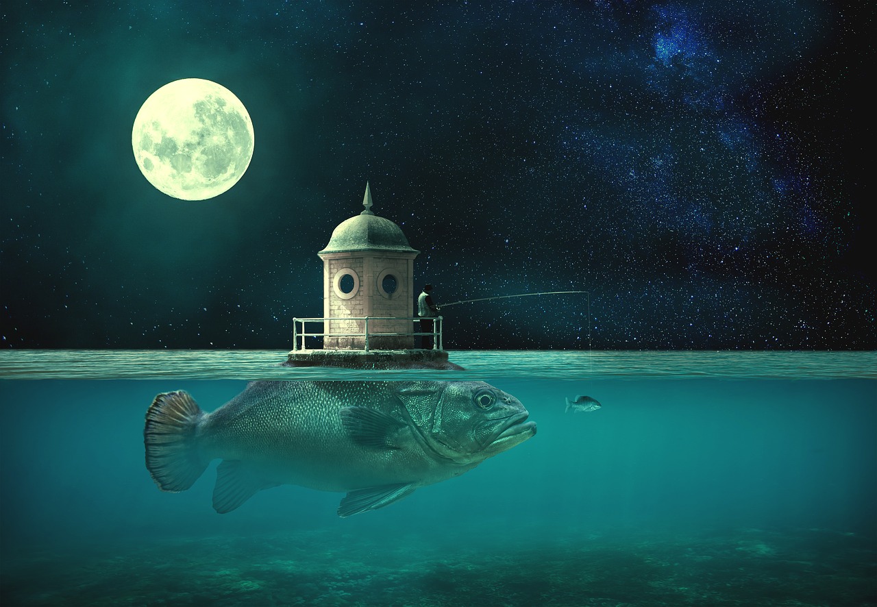 art  fish  moon free photo