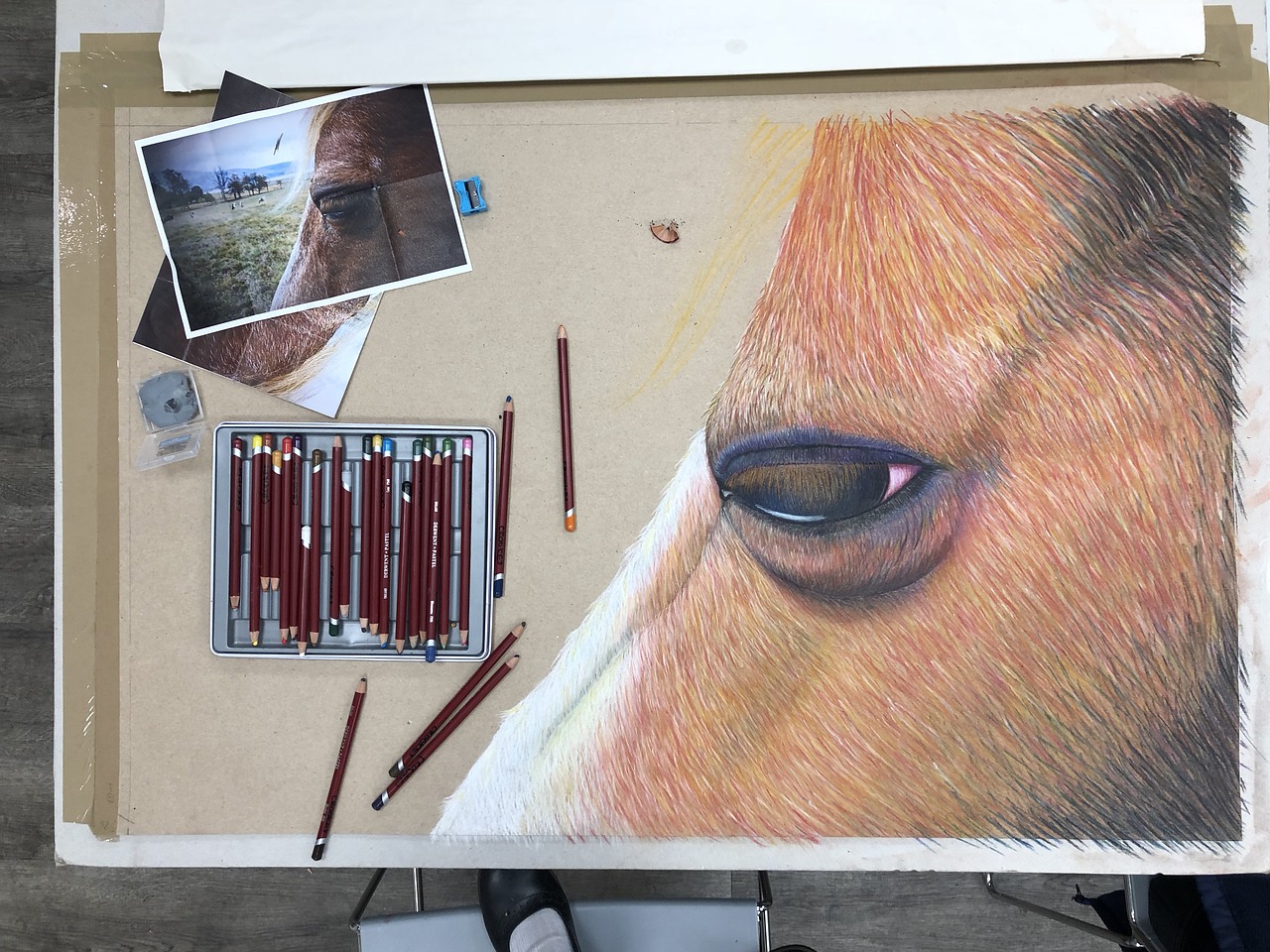 art  drawing  horse free photo