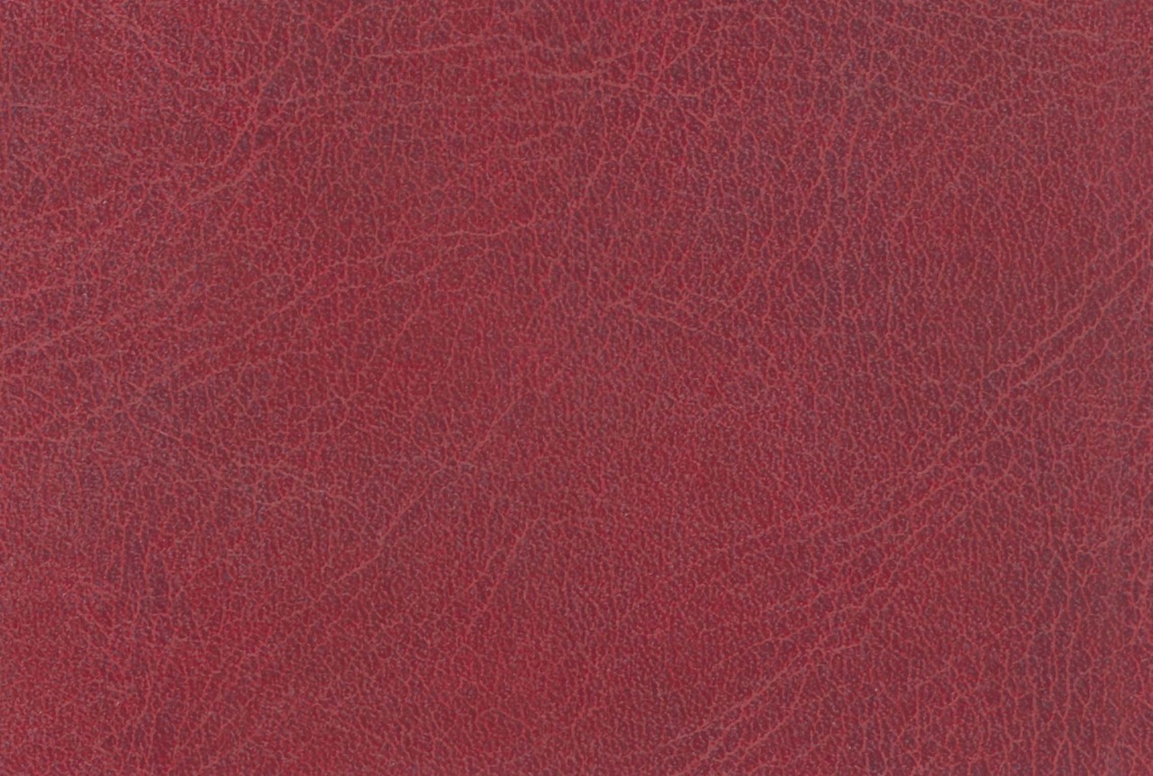 art leather red leather free photo