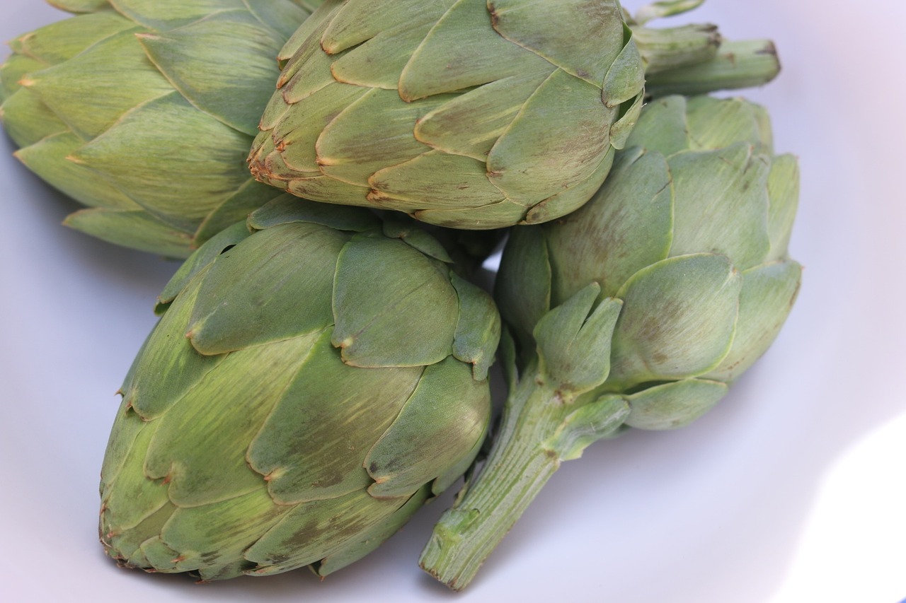 artichoke plant food free photo