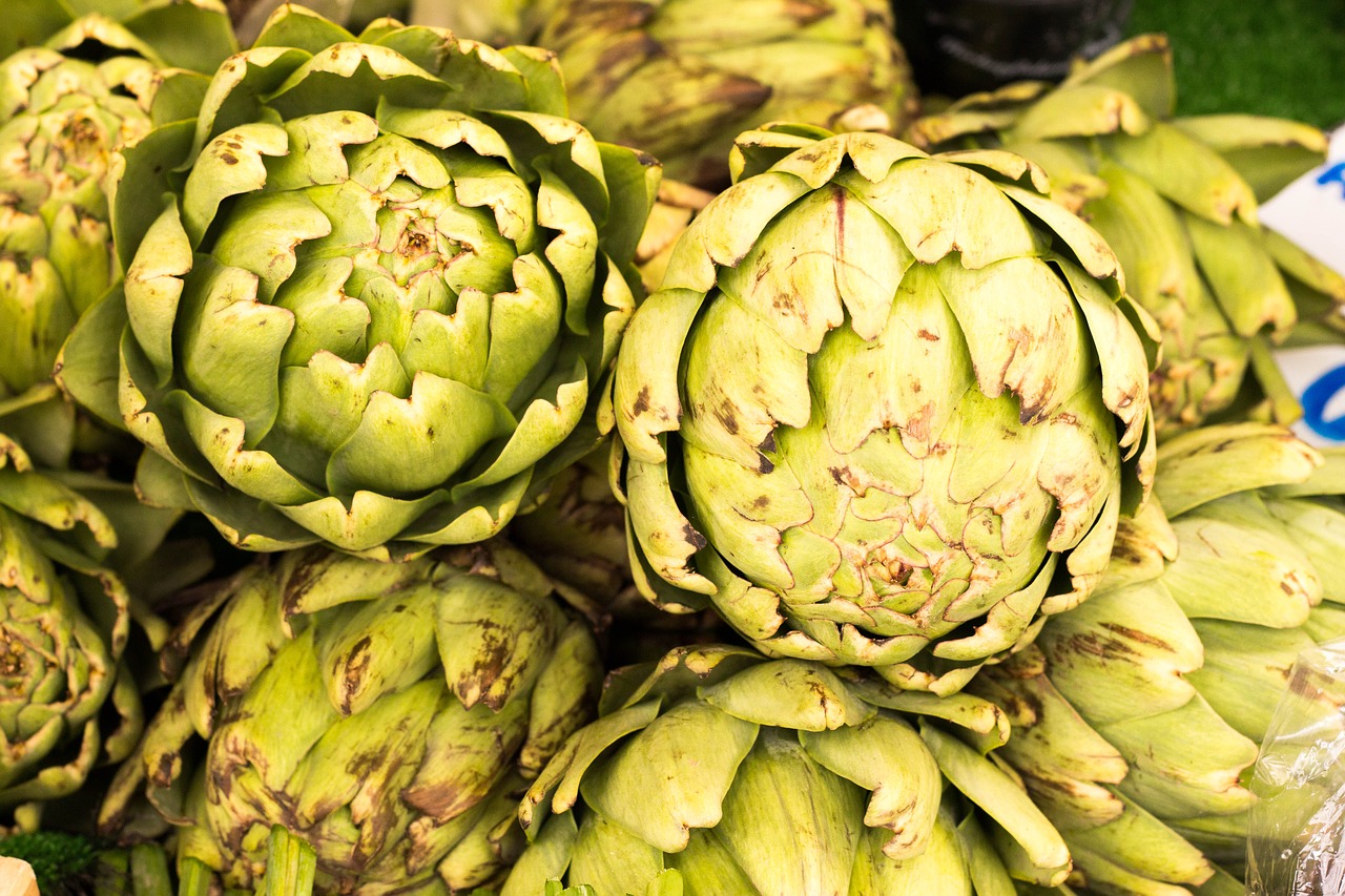 artichoke green cook free photo