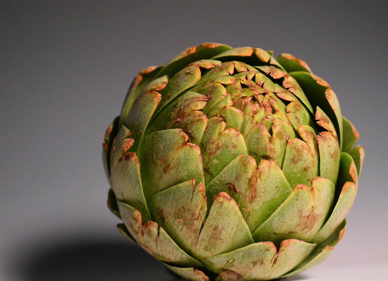 artichoke  green  vegetable free photo