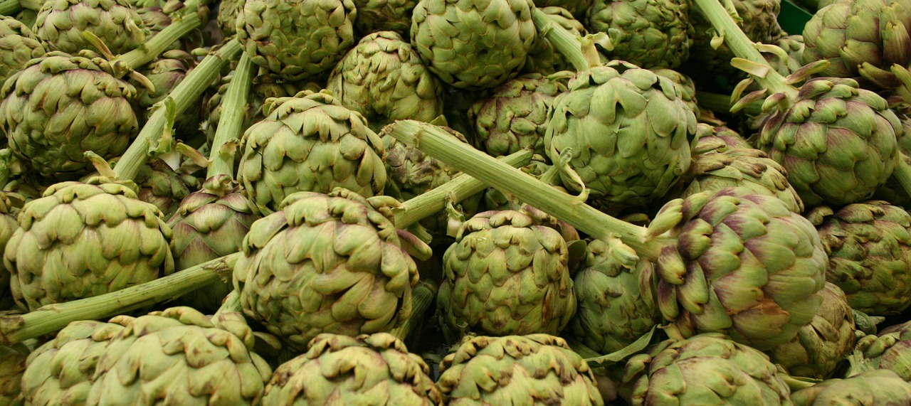 artichokes vegetable nature free photo