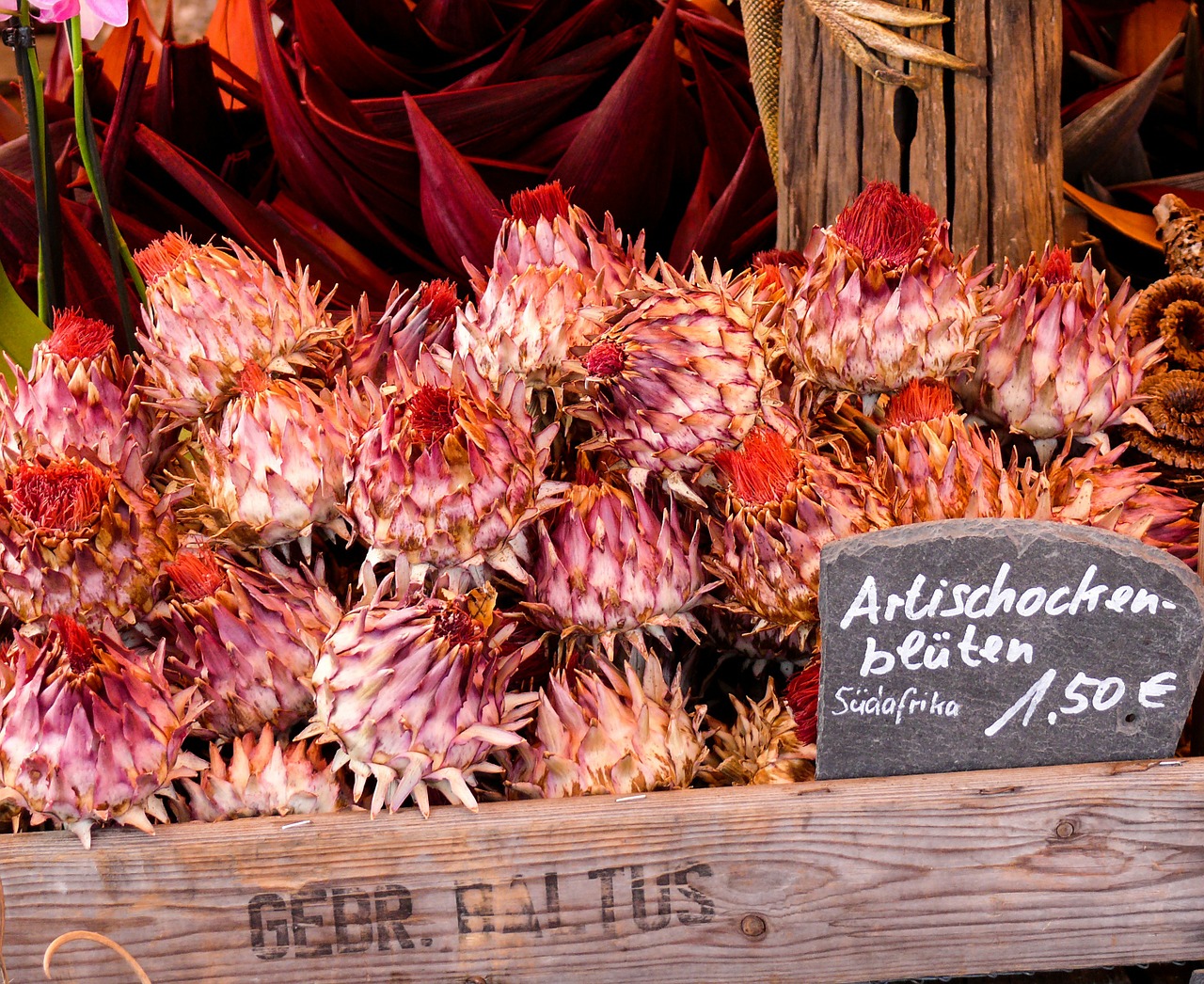artichokes market vegetables free photo