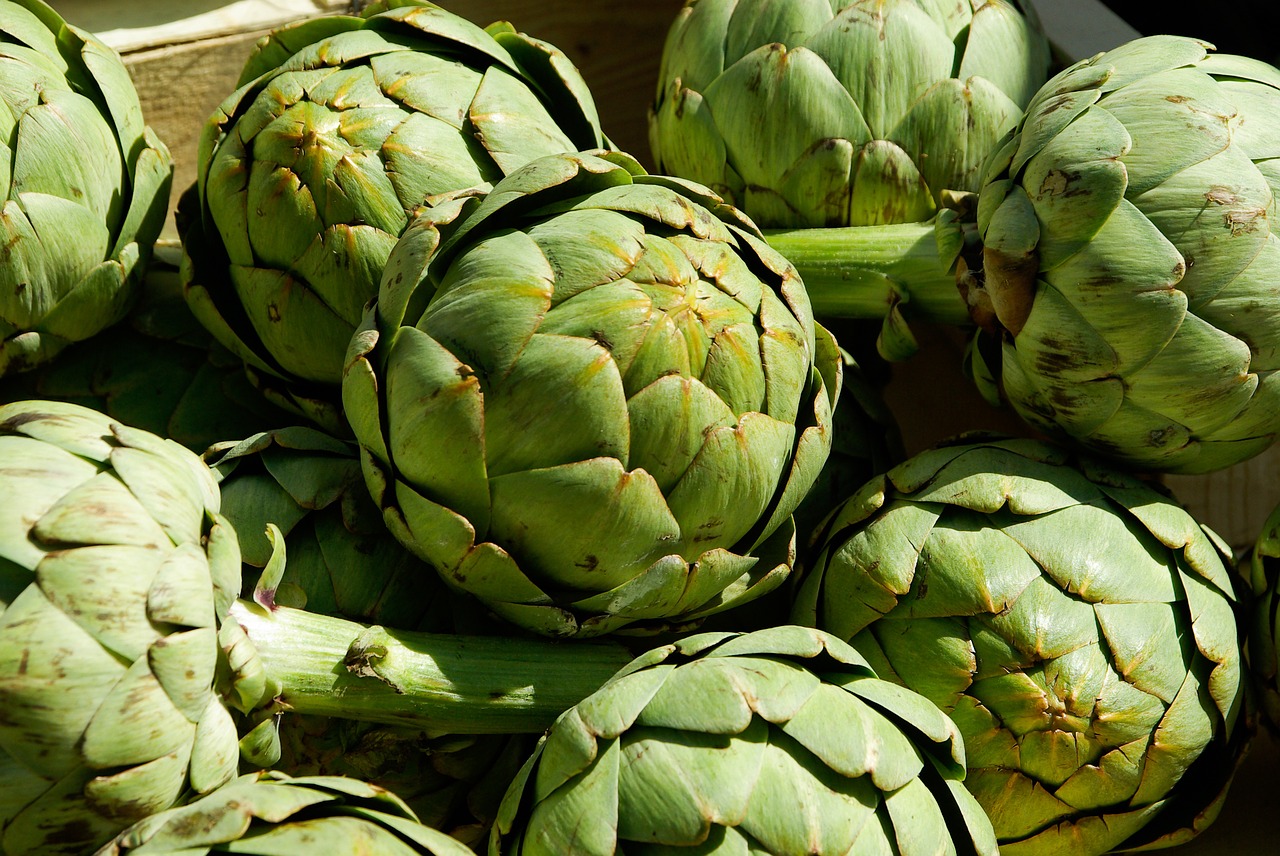 artichokes vegetables agriculture free photo