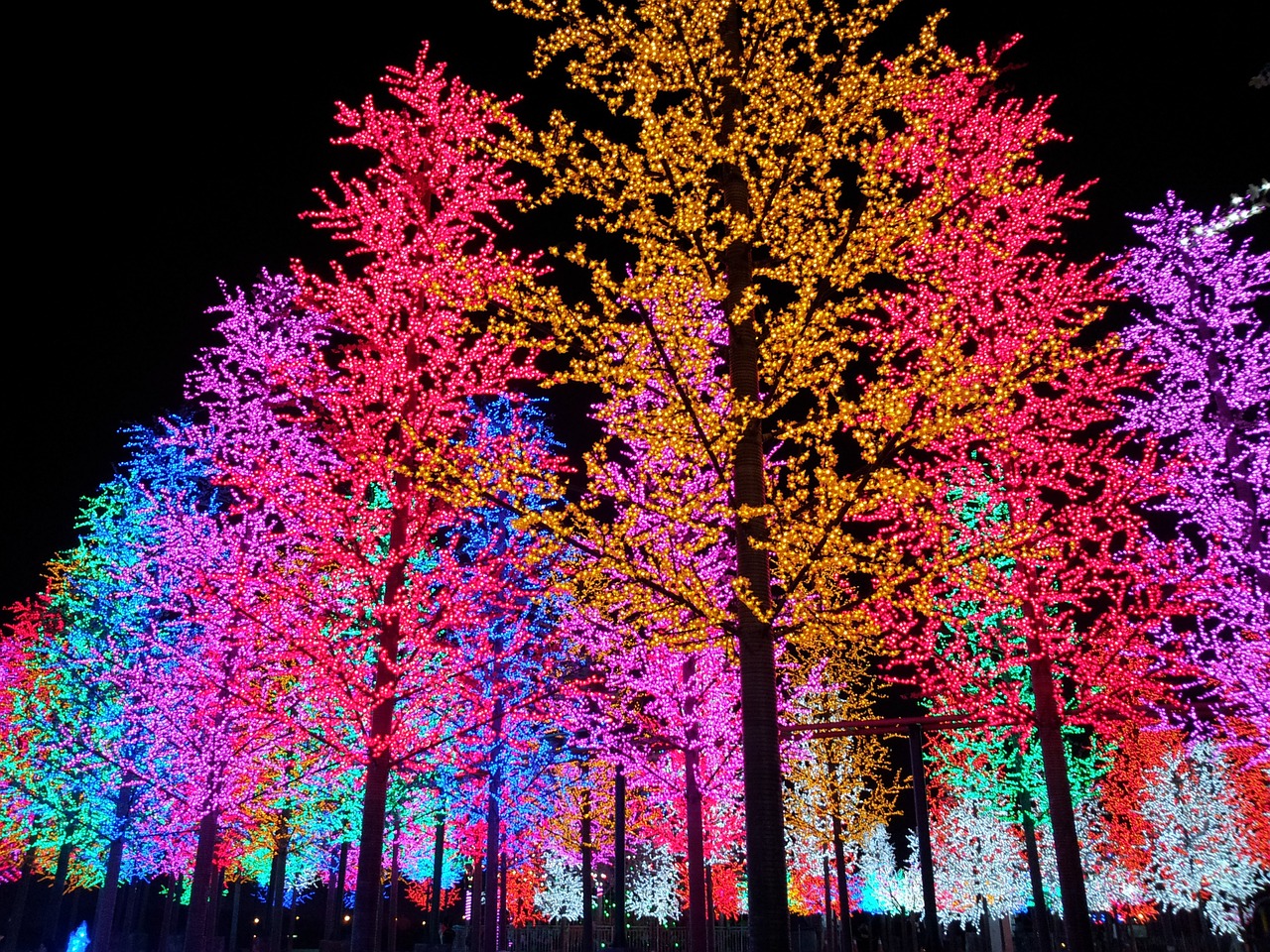 artificial tree light free photo