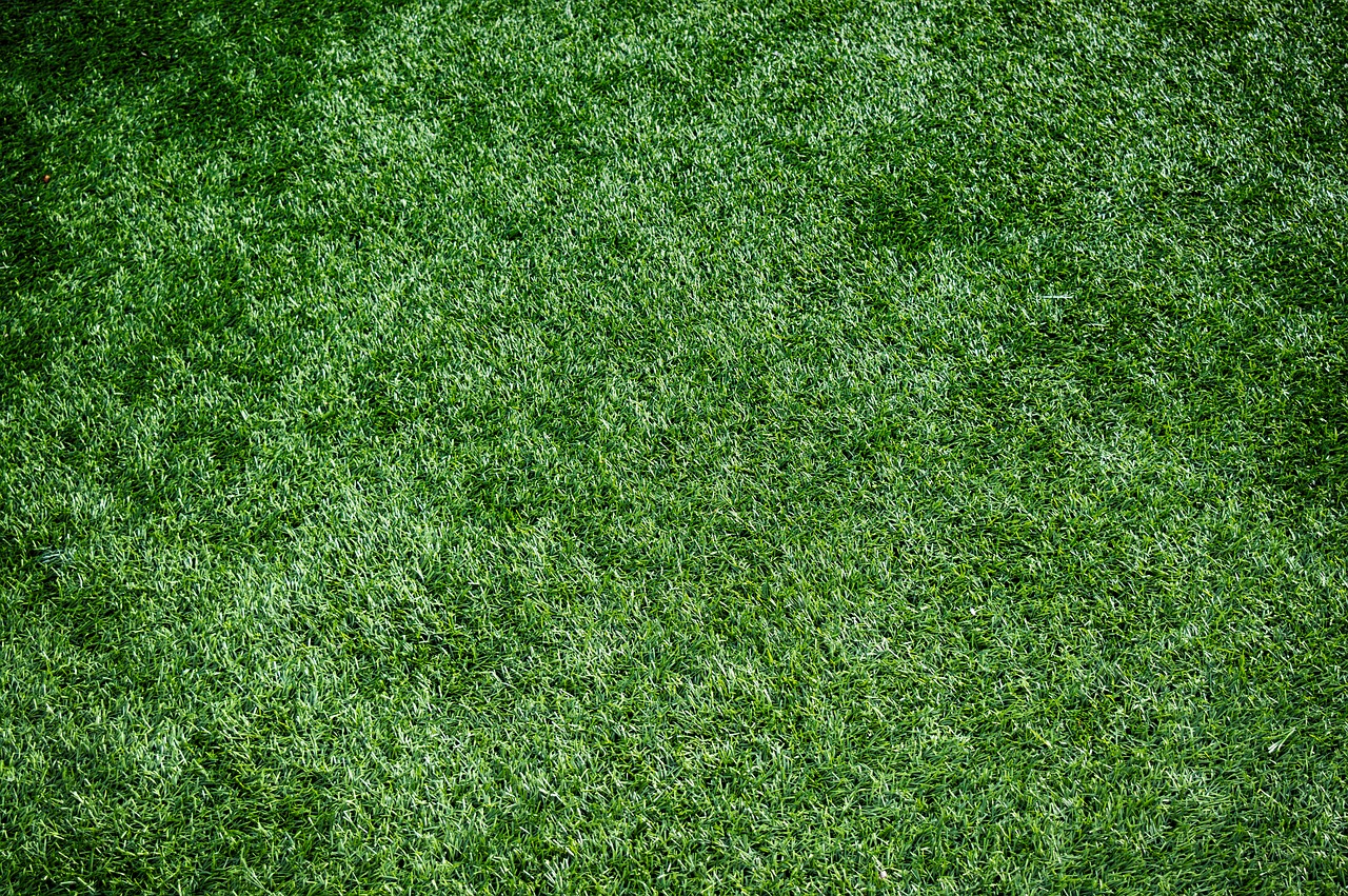 artificial turf sports turf artificial grass free photo