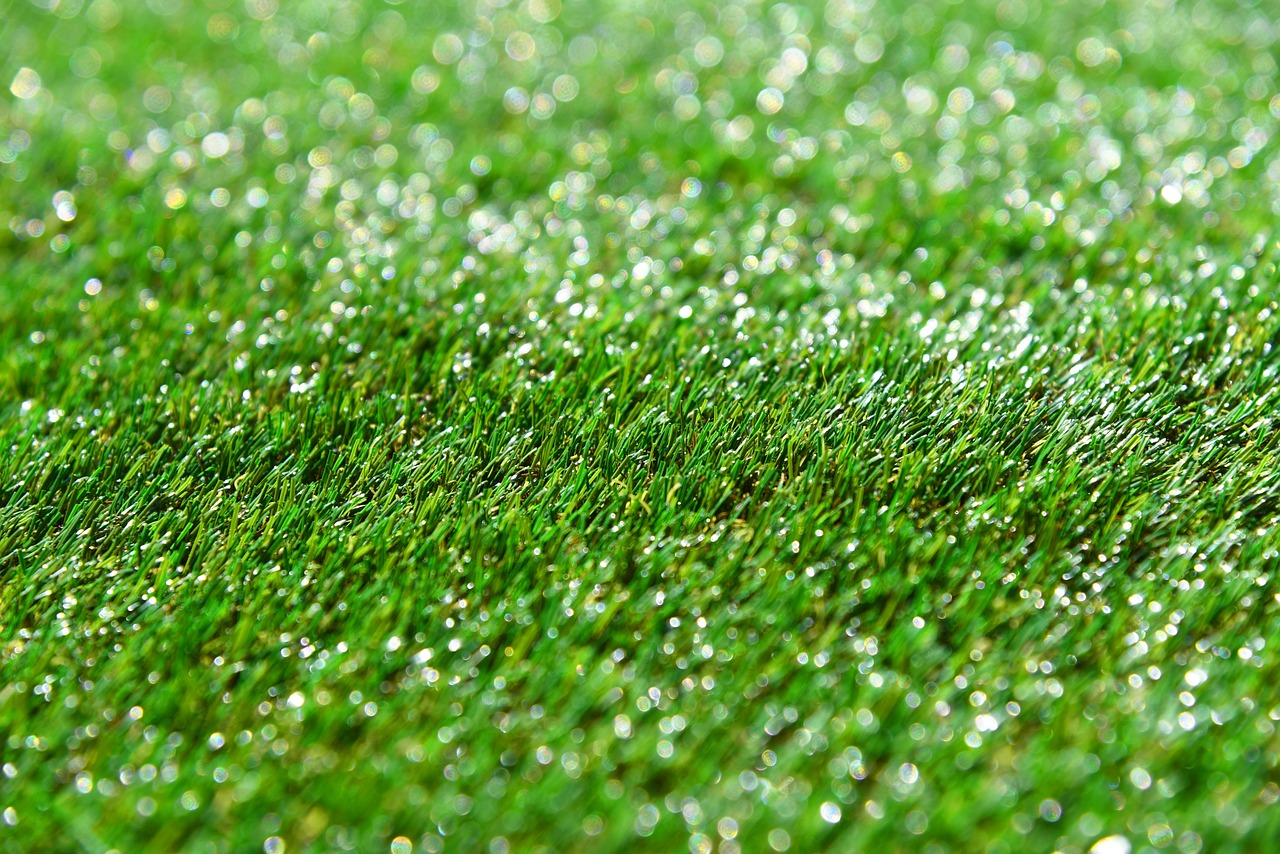 artificial turf  artificial grass  synthetic grass free photo