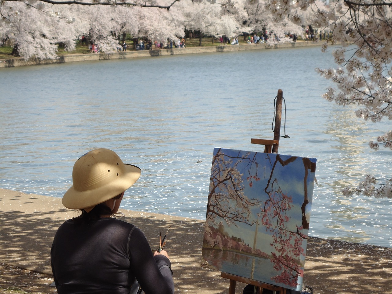 artist cherry blossoms painting free photo