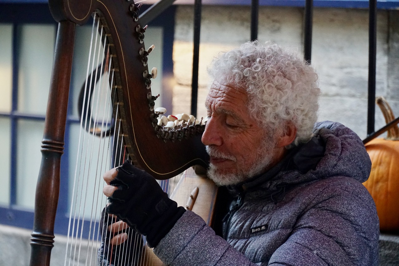 artist  musician  street free photo