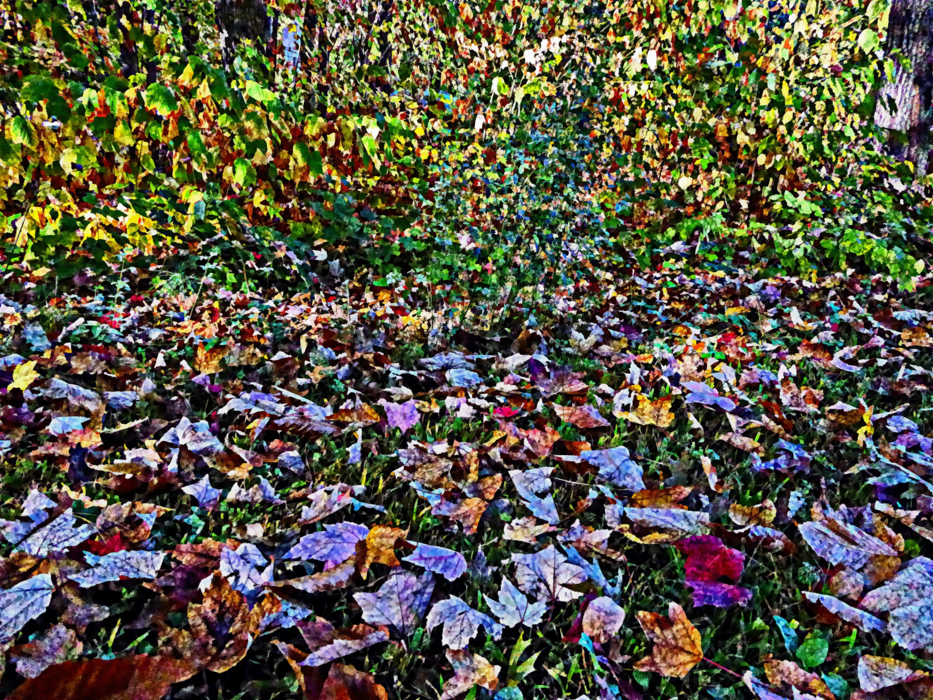 autumn fall impressionist free photo