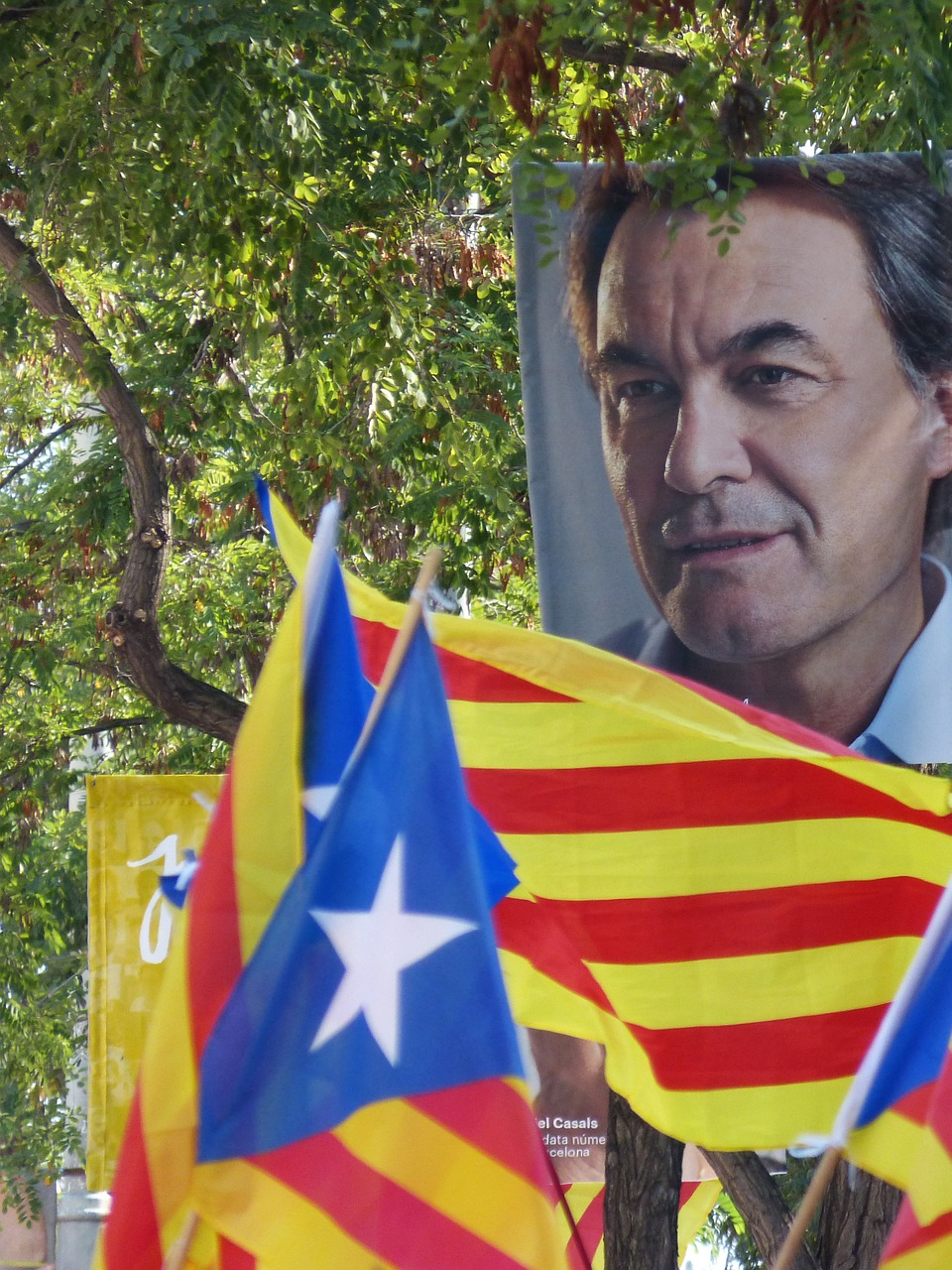 artur mas catalunya esteladas free photo