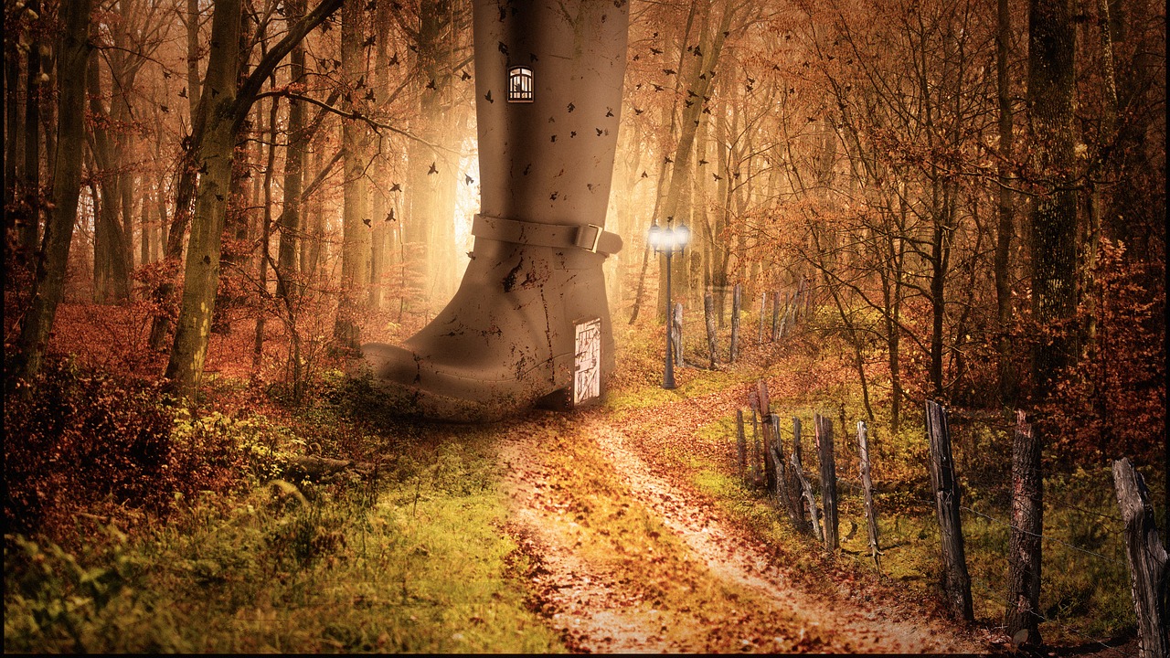 artwork autumn colours boot free photo