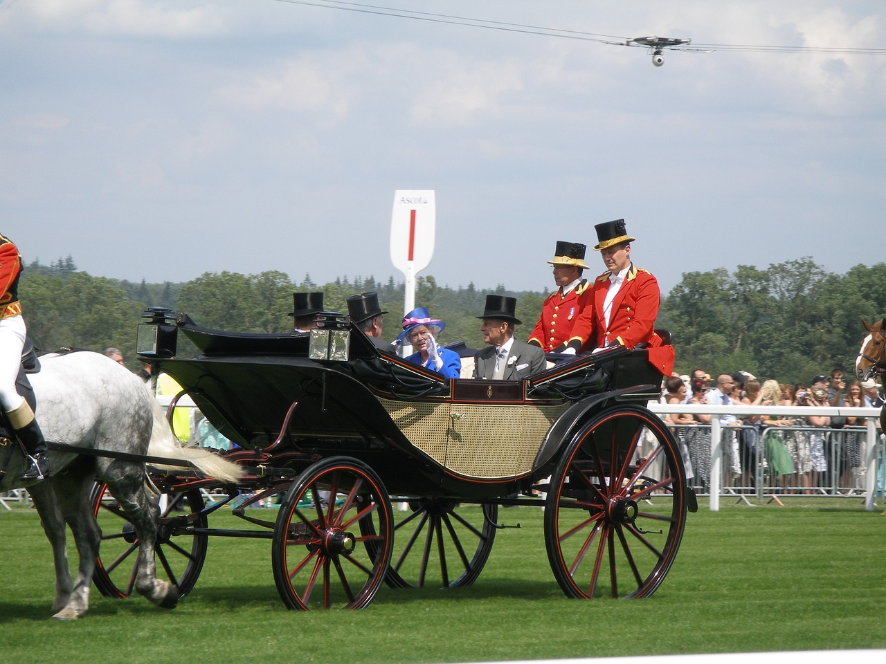 ascot queen horse free photo