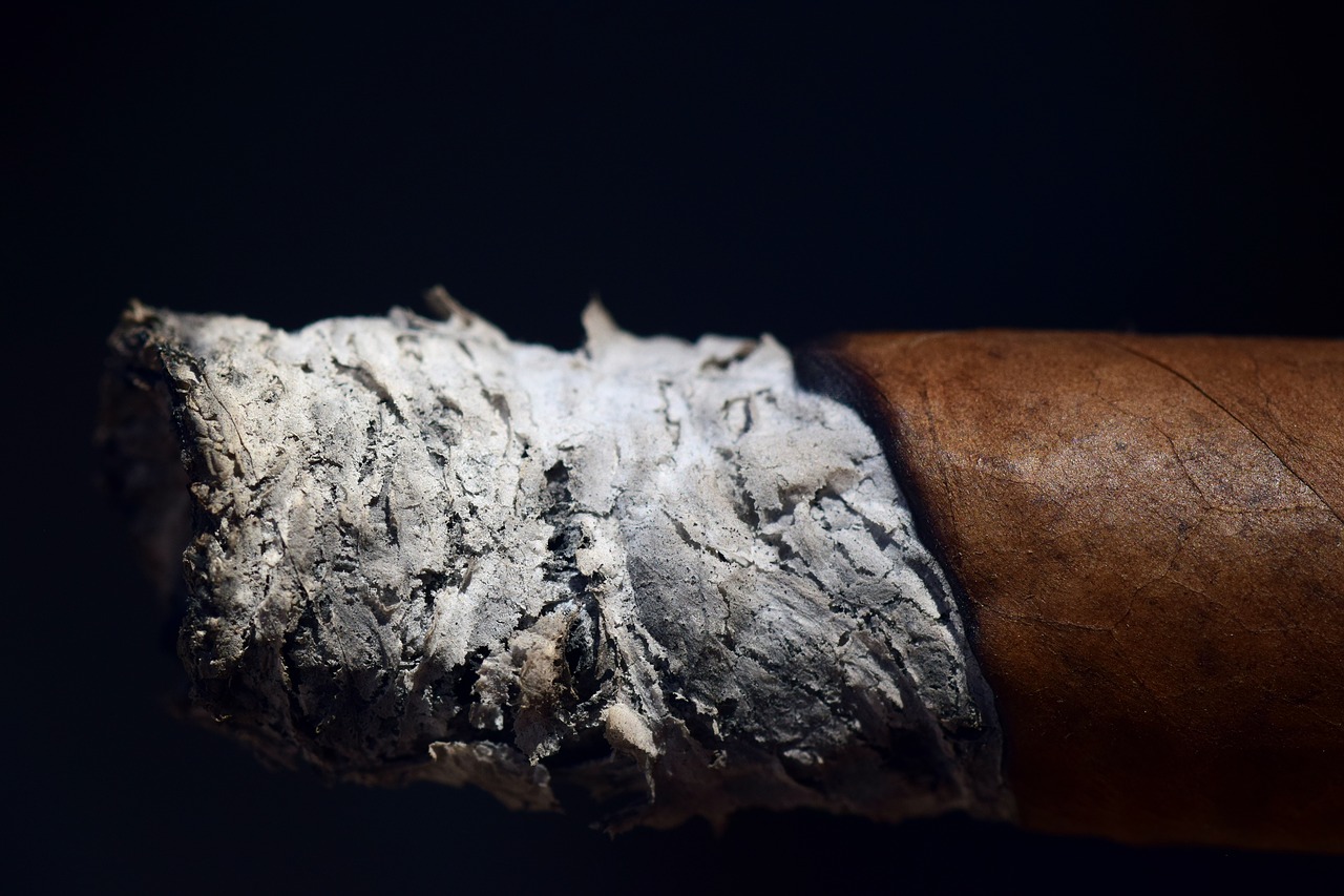 ash  cigar  smoking free photo