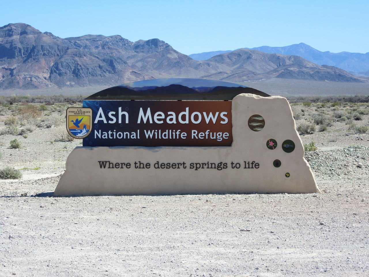 ash meadows dessert wildlife free photo