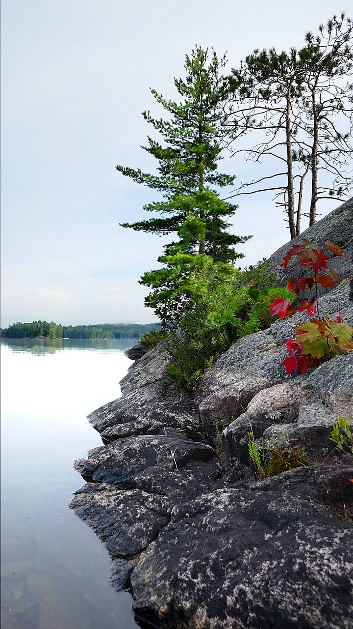 ashby lake ontario canada free photo