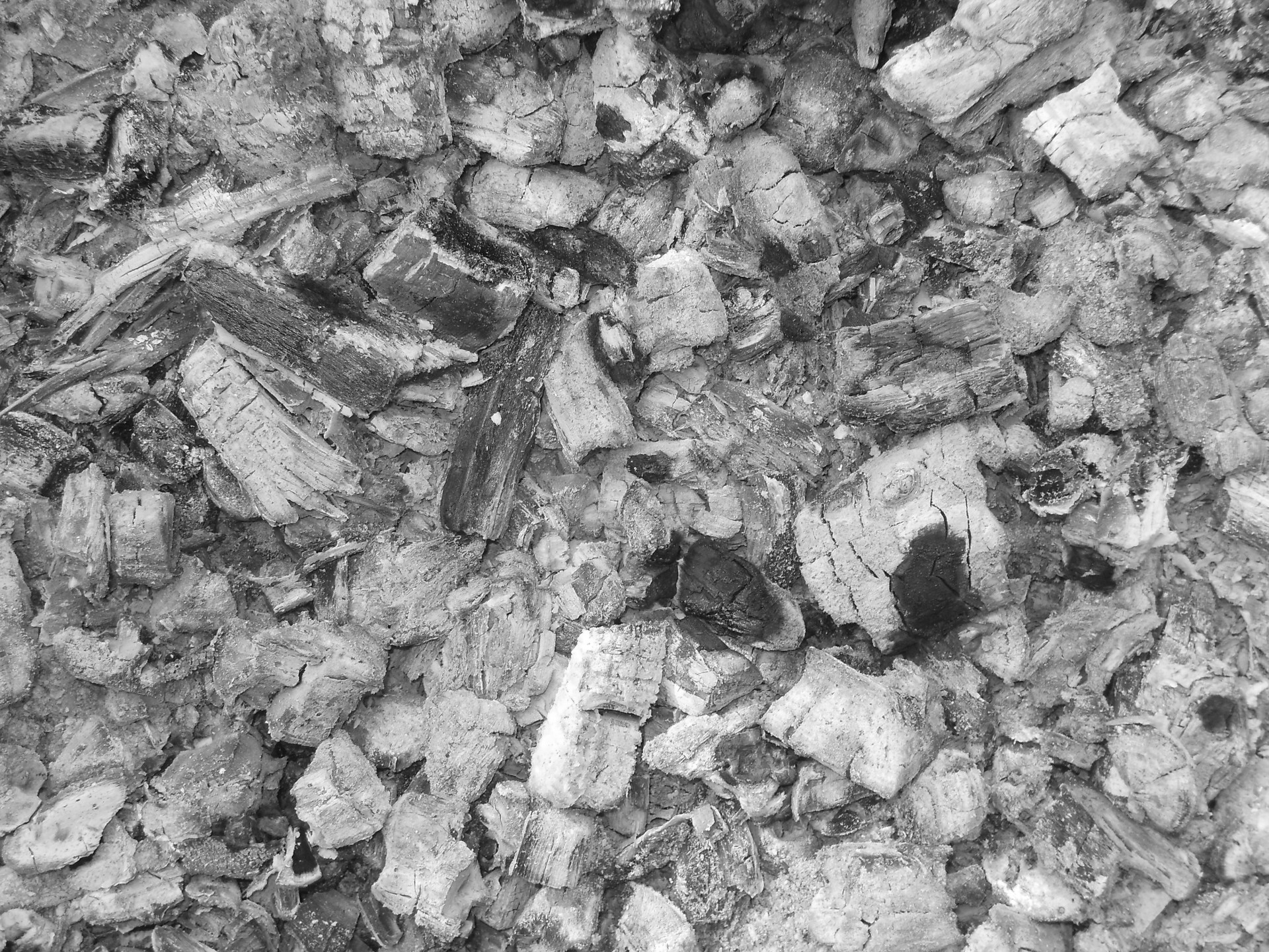 ashes texture b&w free photo