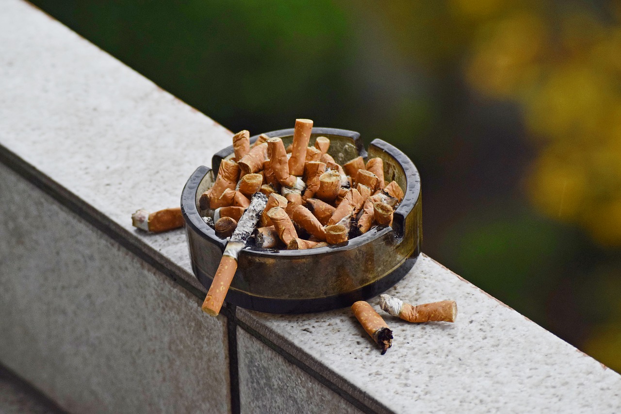 ashtray  cigarettes  smoke free photo