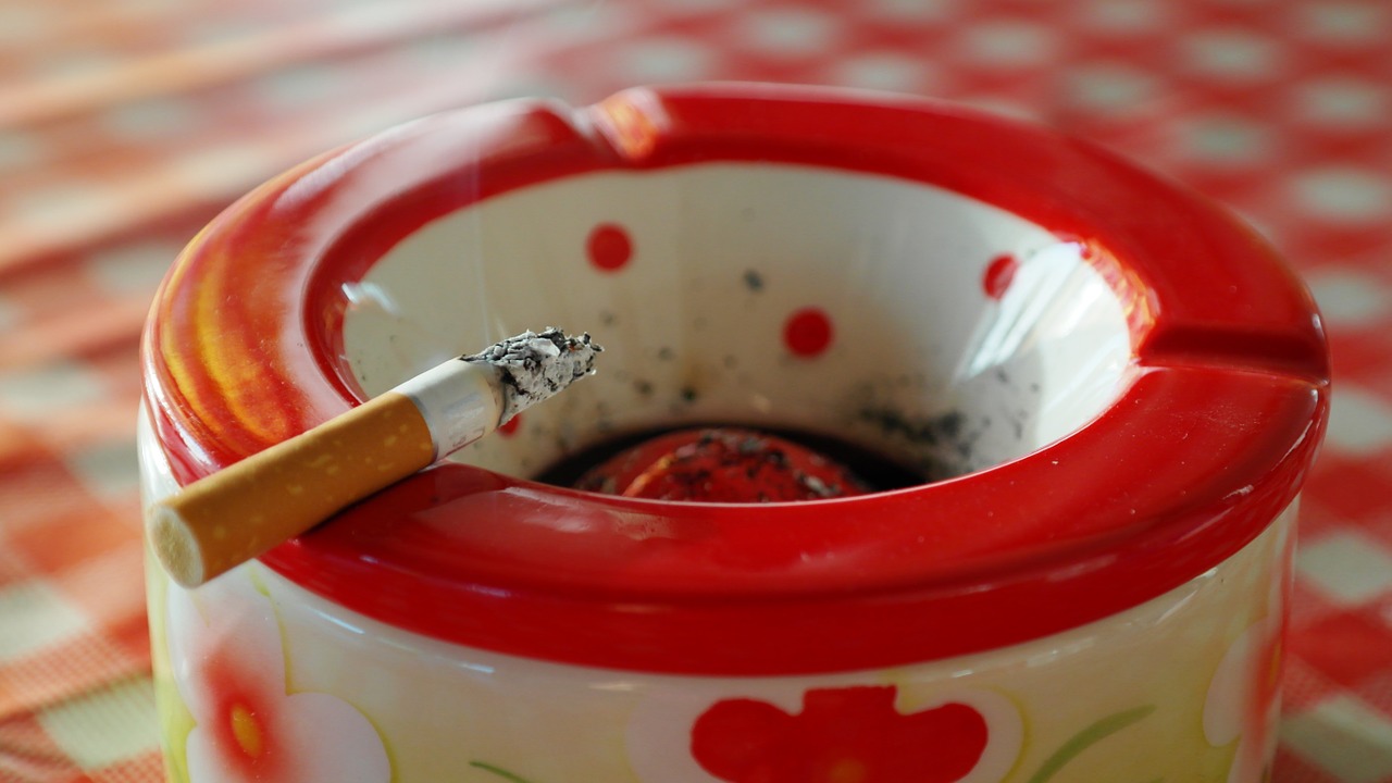 ashtray ash cigarettes free photo