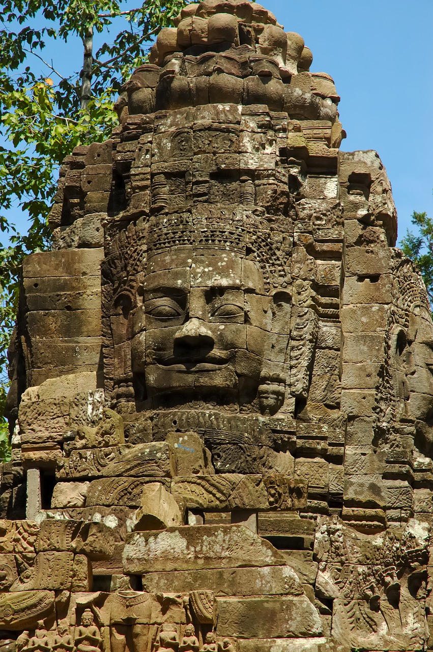 asia cambodia roots free photo