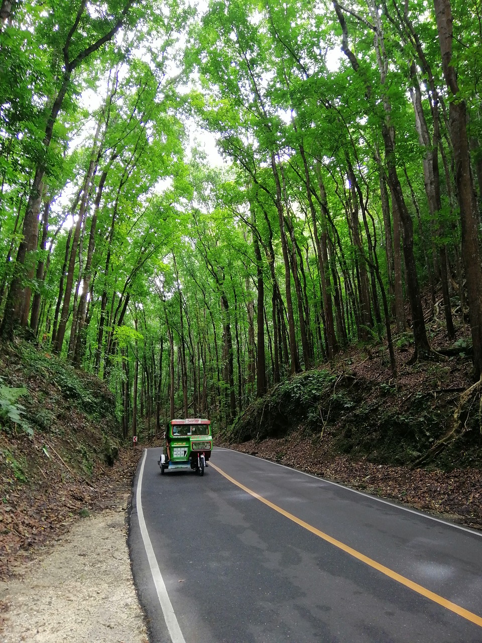 asia  philippines  bohol free photo