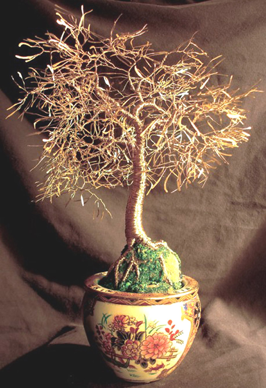 bonsai tree sculpture free photo