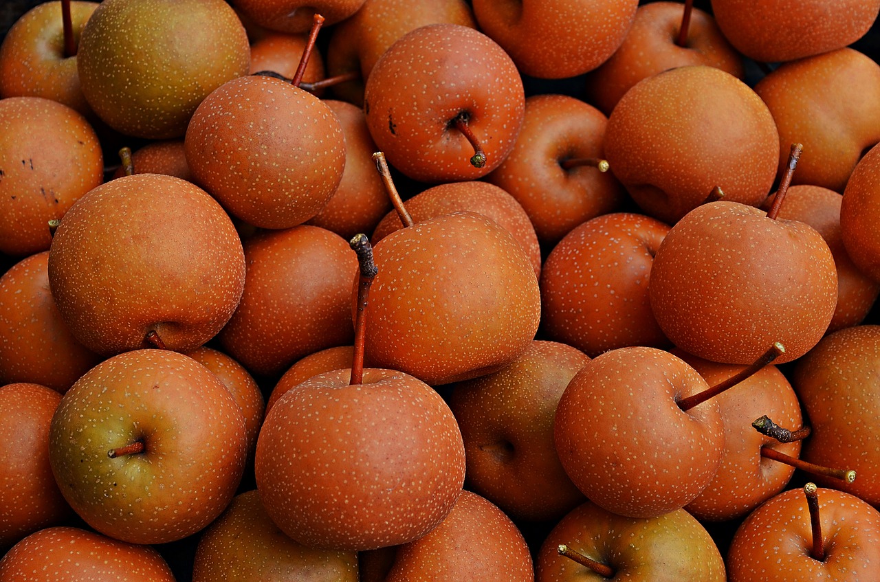 asian pear fruit pear free photo