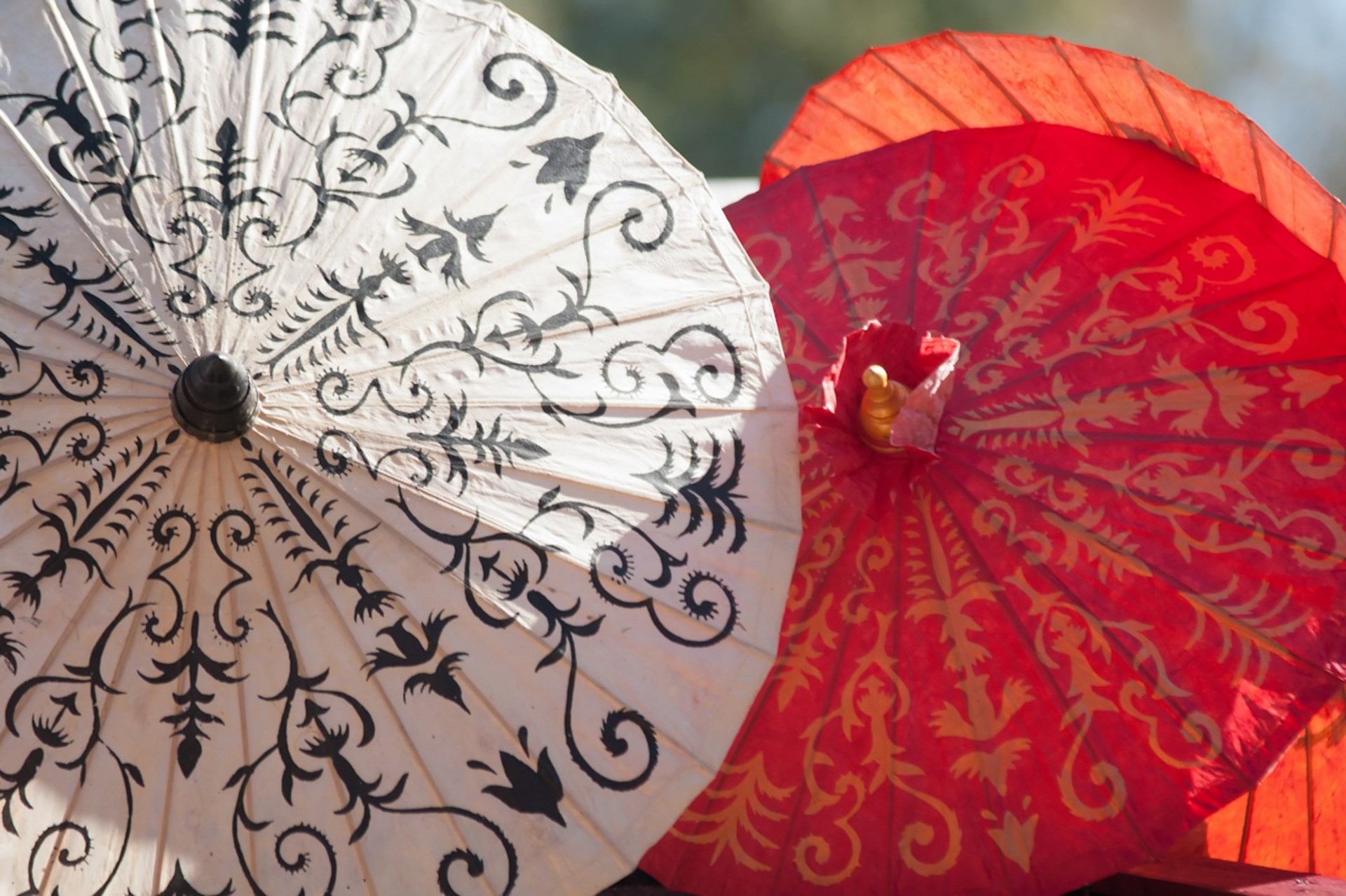 asian umbrellas oriental free photo