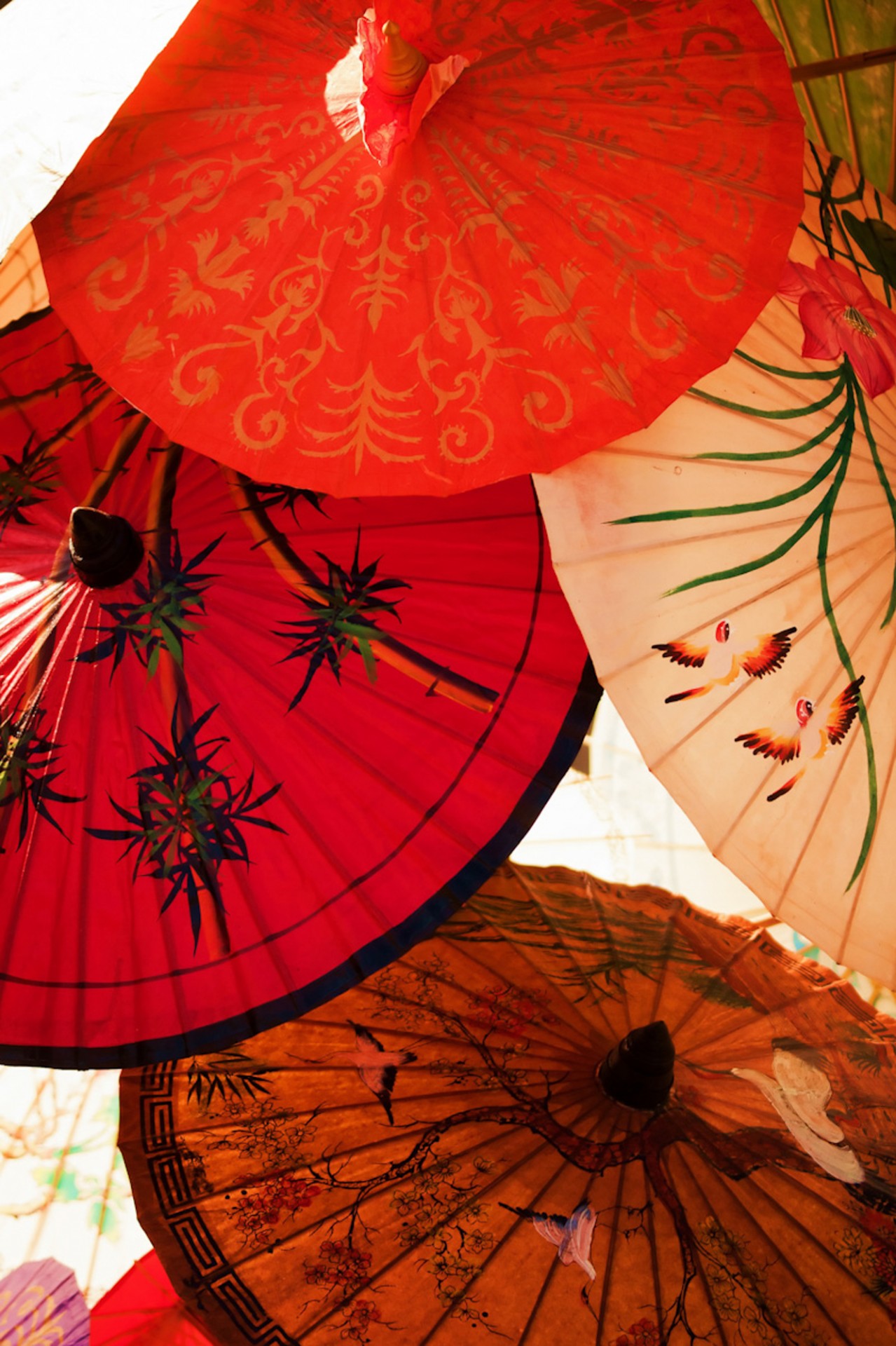 asian umbrellas oriental free photo