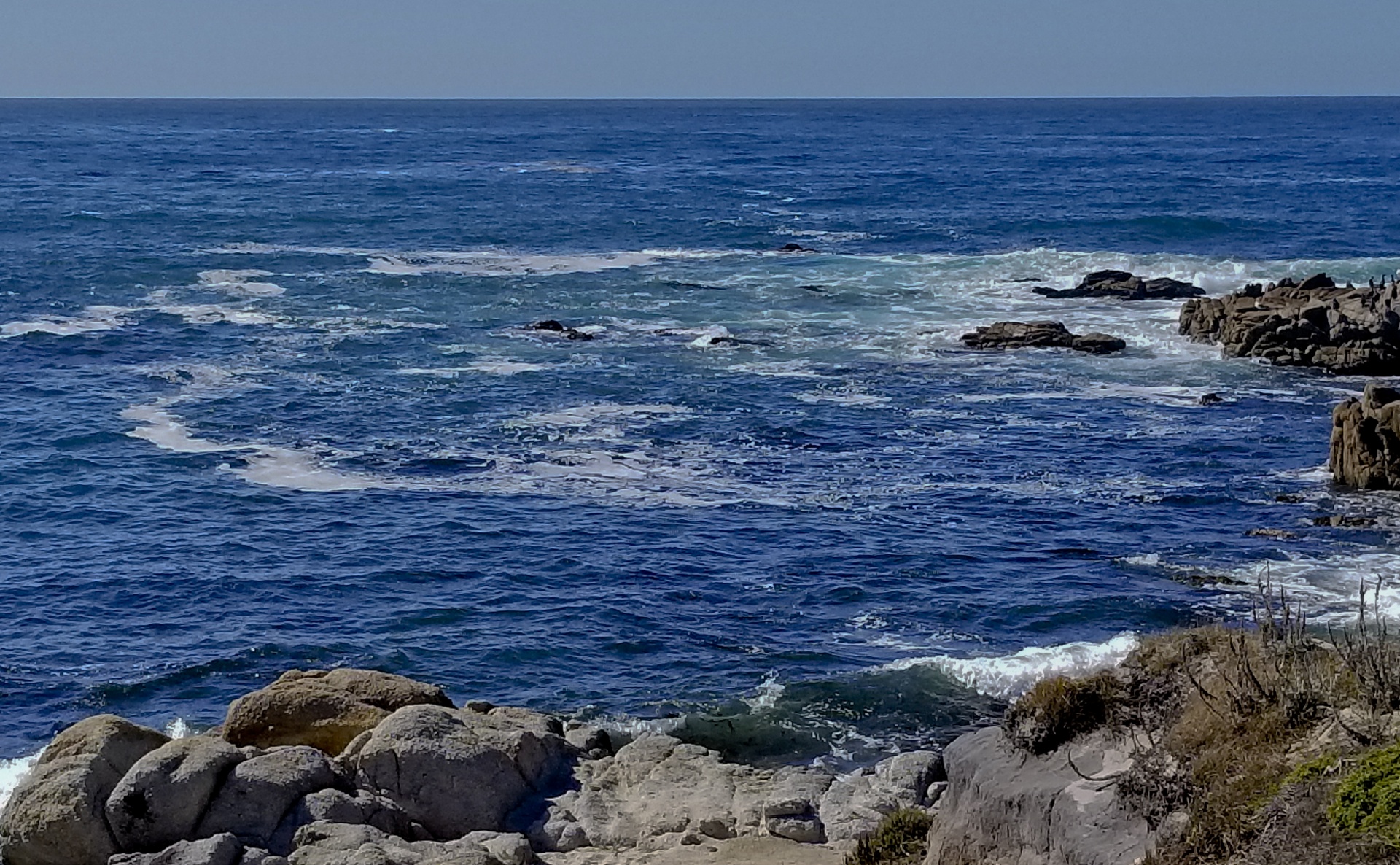 asilomar ocean colors free photo