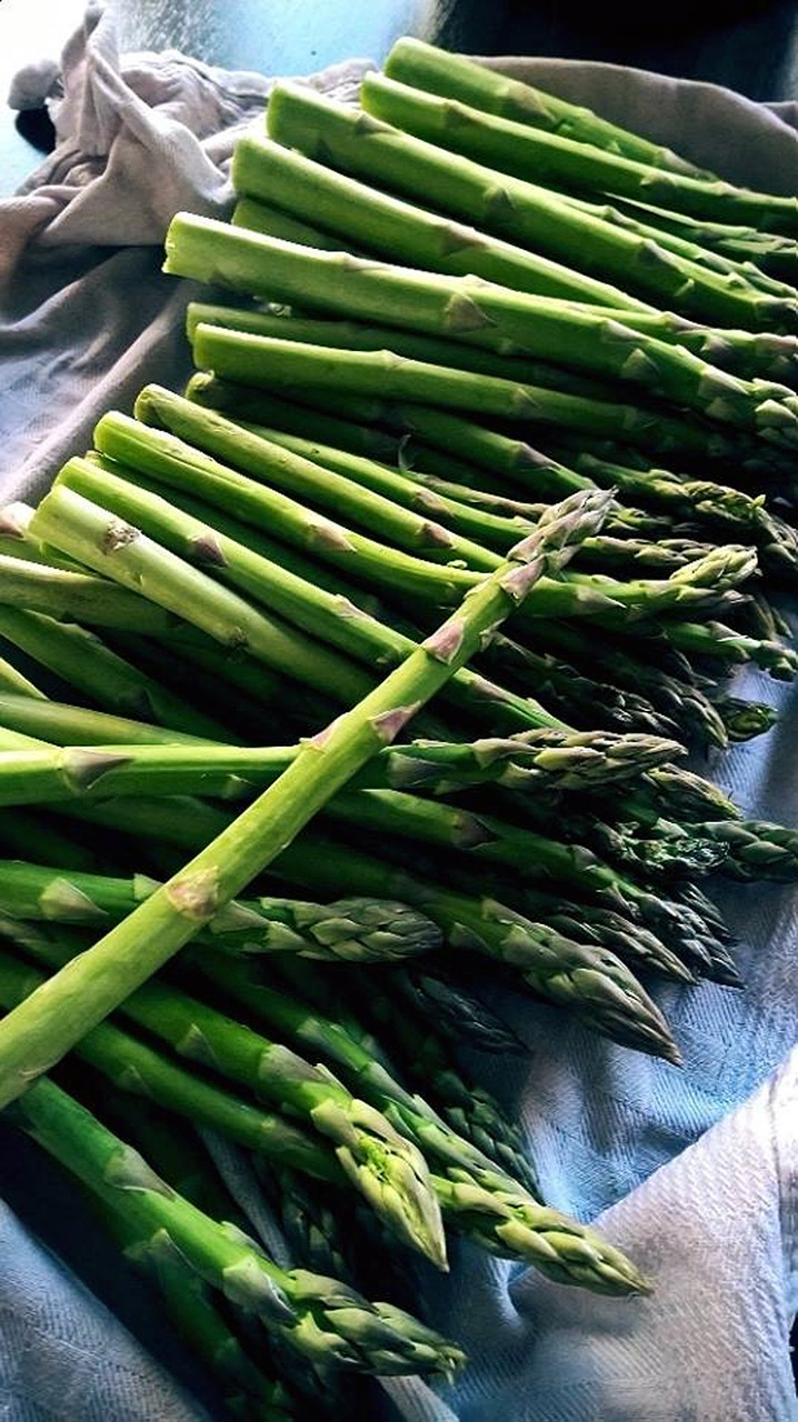 asparagus kitchen cook free photo