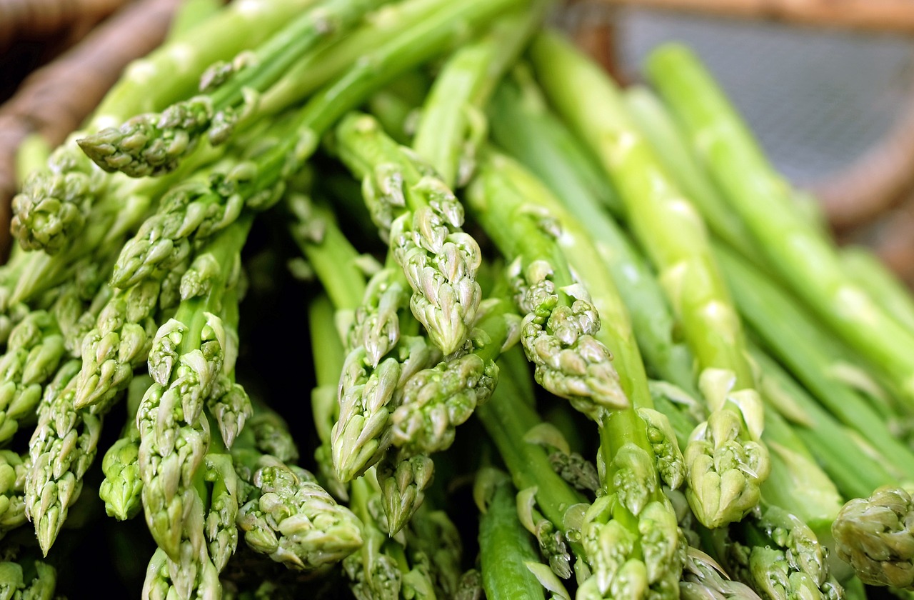 asparagus green vegetables free photo