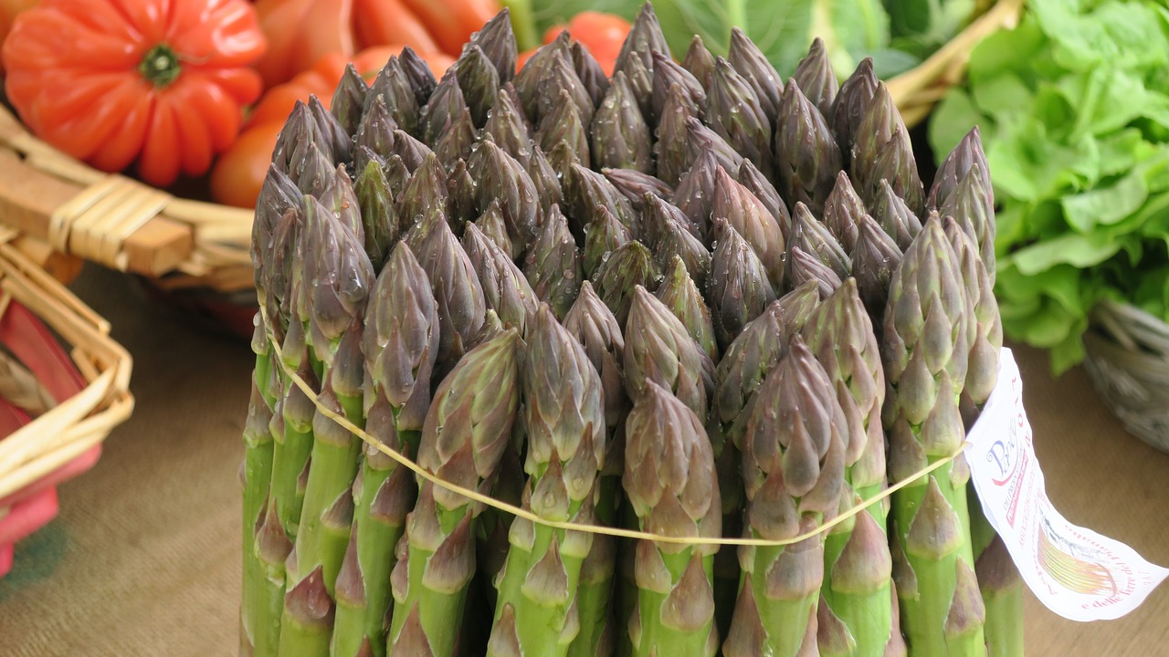 asparagus santena spears free photo
