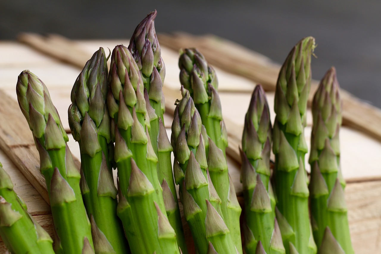 asparagus green veg free photo