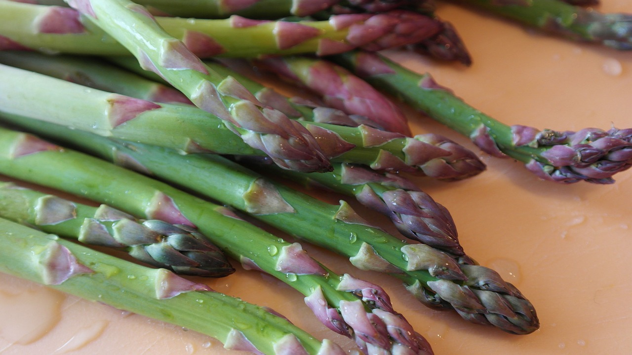 asparagus green appetite free photo