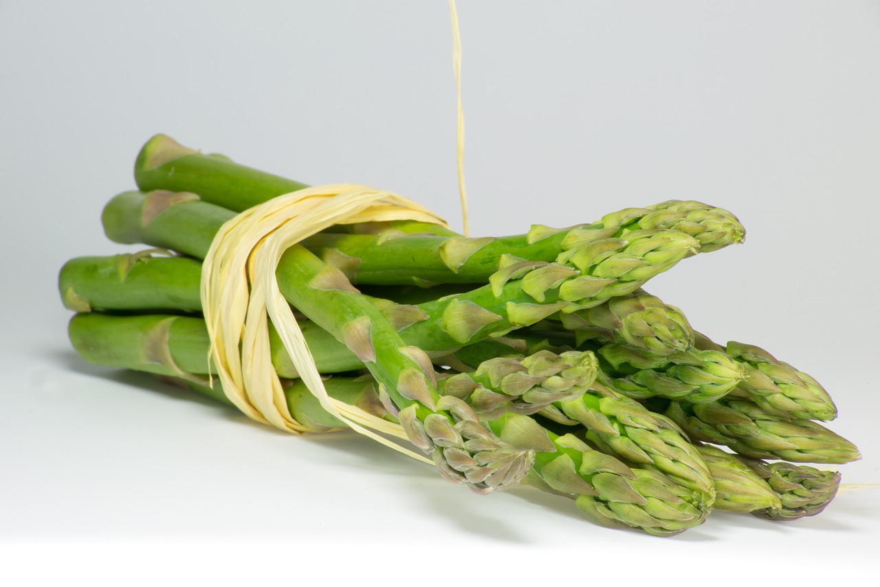 asparagus green bundle free photo