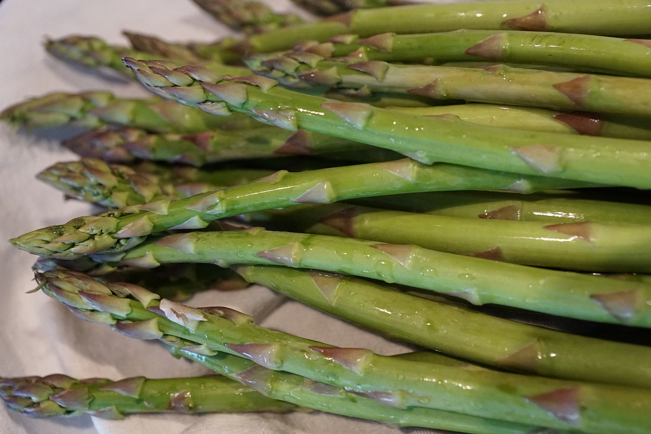 asparagus green vegetables free photo