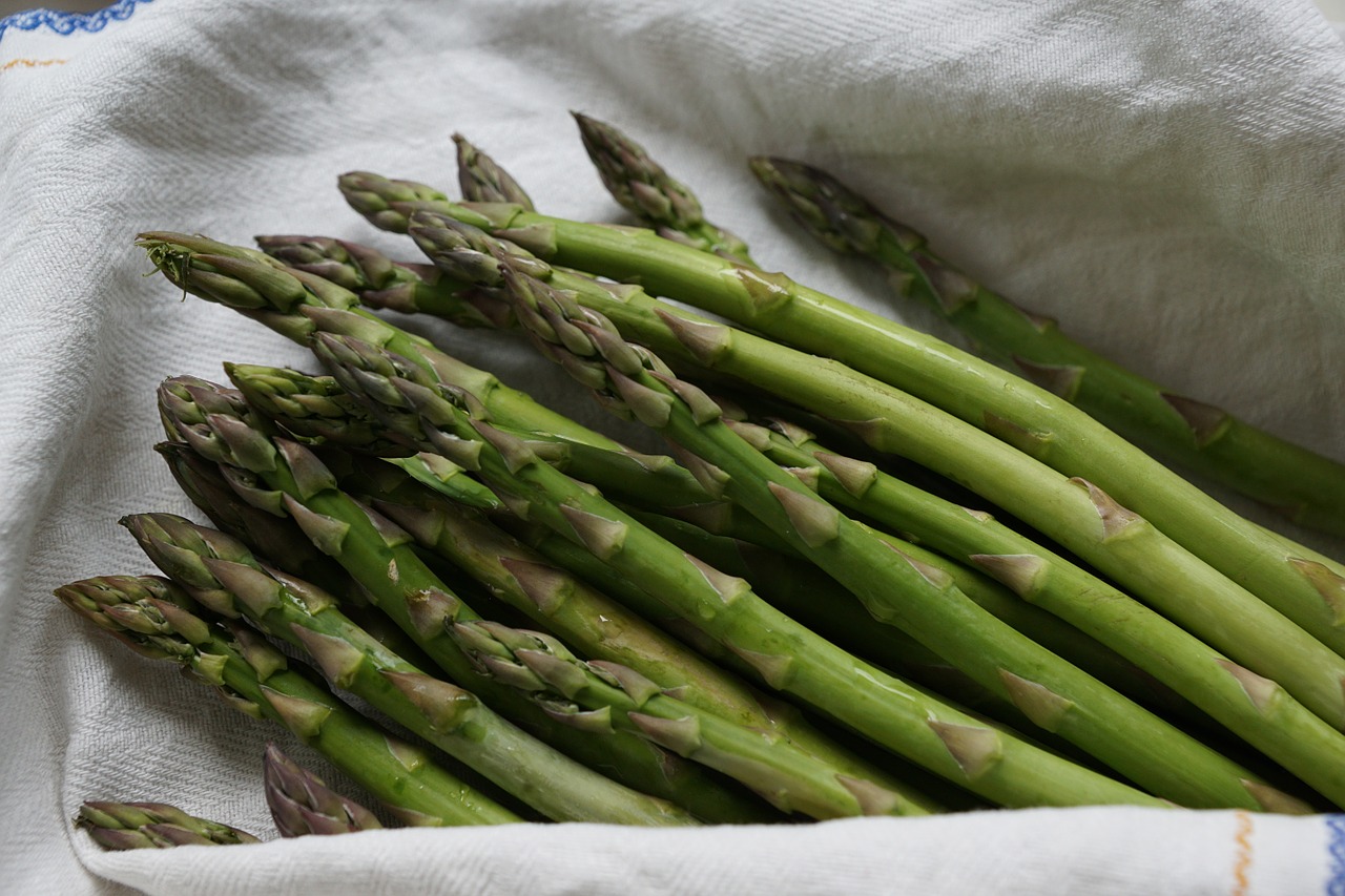 asparagus green vegetables free photo