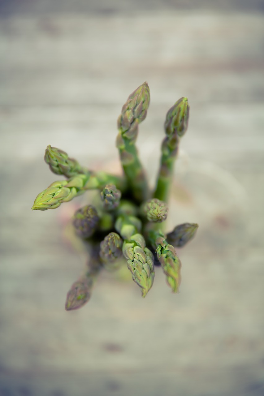 asparagus vegetables asparagus tips free photo