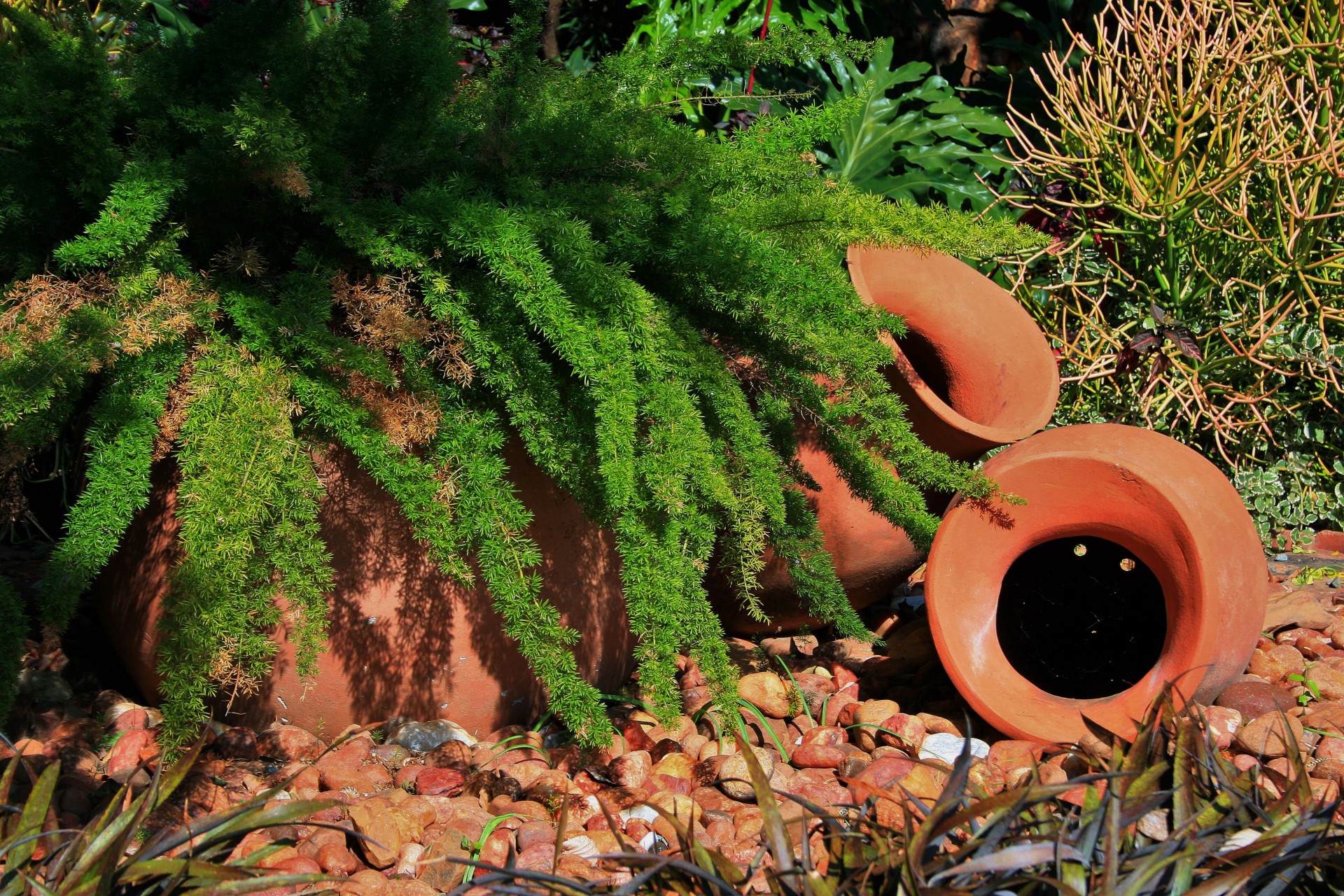 pots terracotta plants free photo