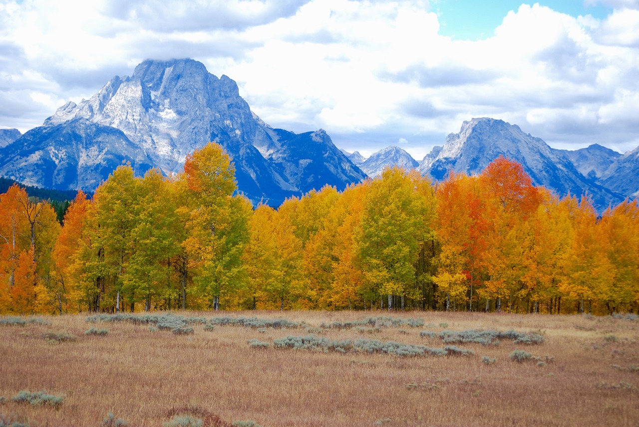 aspen storm mountains free photo