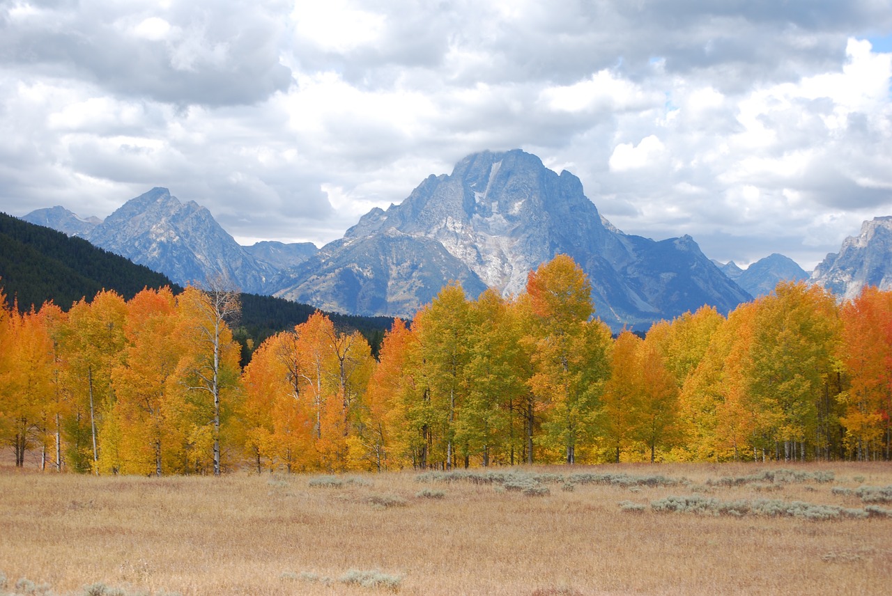 aspen storm mountains free photo