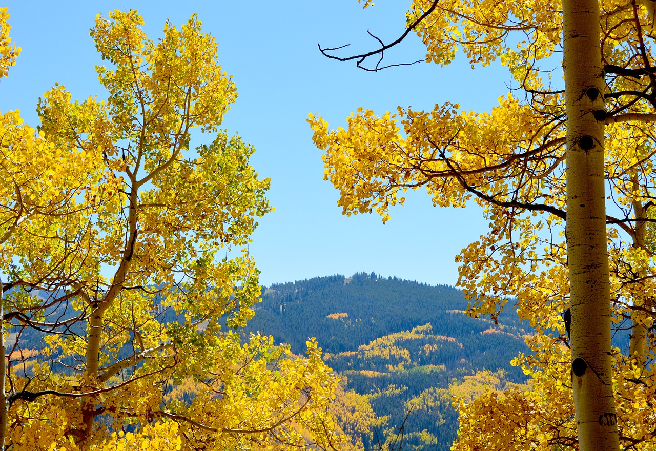 aspen mountains colorado free photo