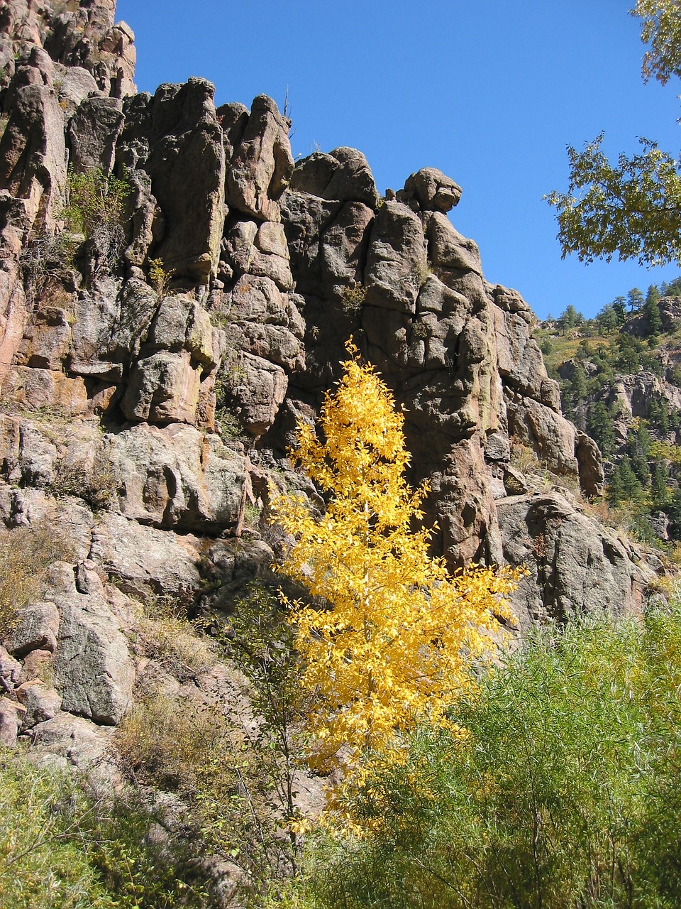 aspen canyon rocks free photo