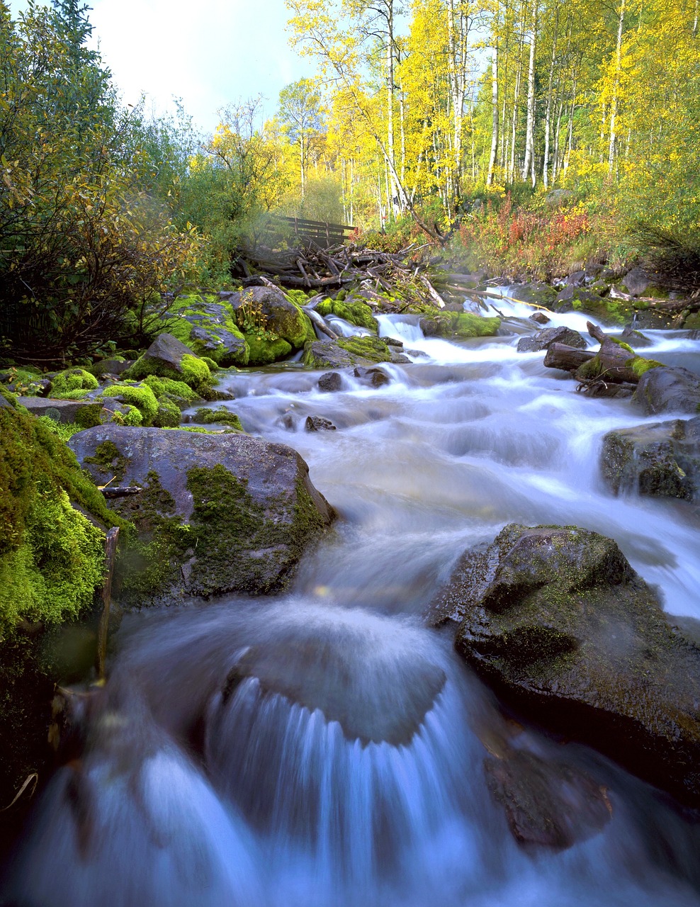 aspens water stream free photo