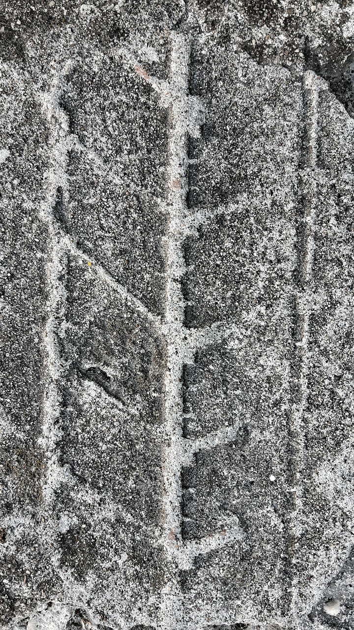 asphalt texture cement free photo