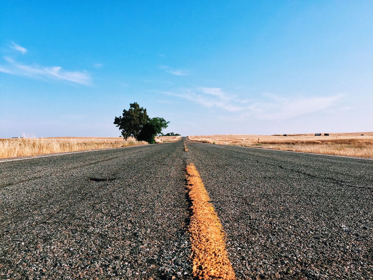 asphalt desert grass free photo