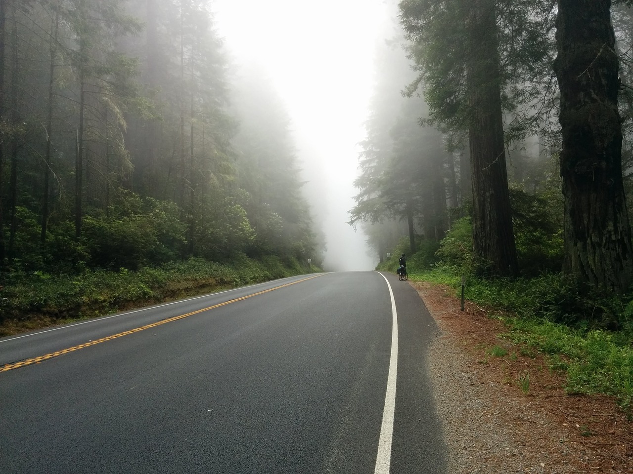 asphalt drive fog free photo